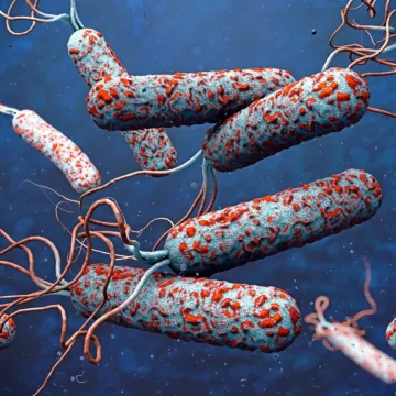 Cholera Spreads to 35 States as NCDC Records Over 65,000 Suspected Cases