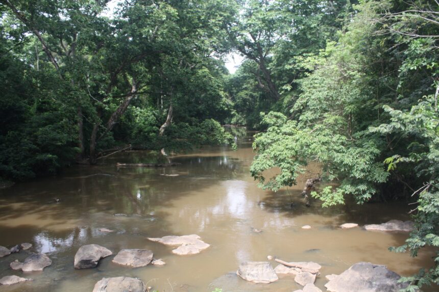 Osun-Osogbo: The Sacred Grove Story That Shaped a City