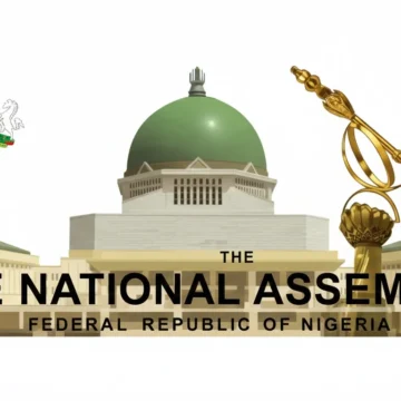 Pension Delays Should Be Criminal Offence, Lawyer Tells National Assembly